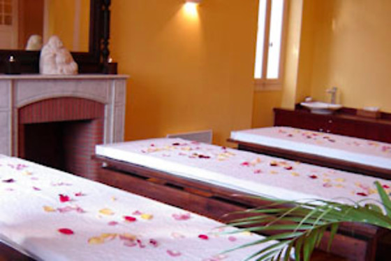 Forfait spa et modelage au Spa Terra Nostra à Pau (64)