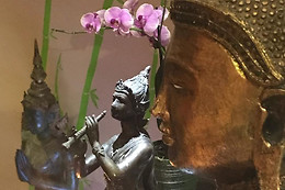L'Orchidée Thai